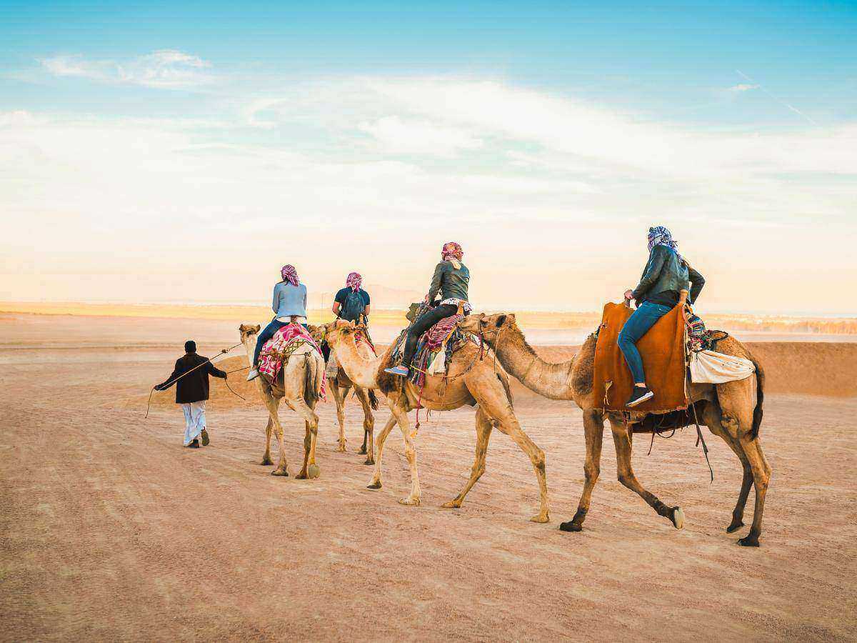Camel Ride - 7-Hour Jeep Safari