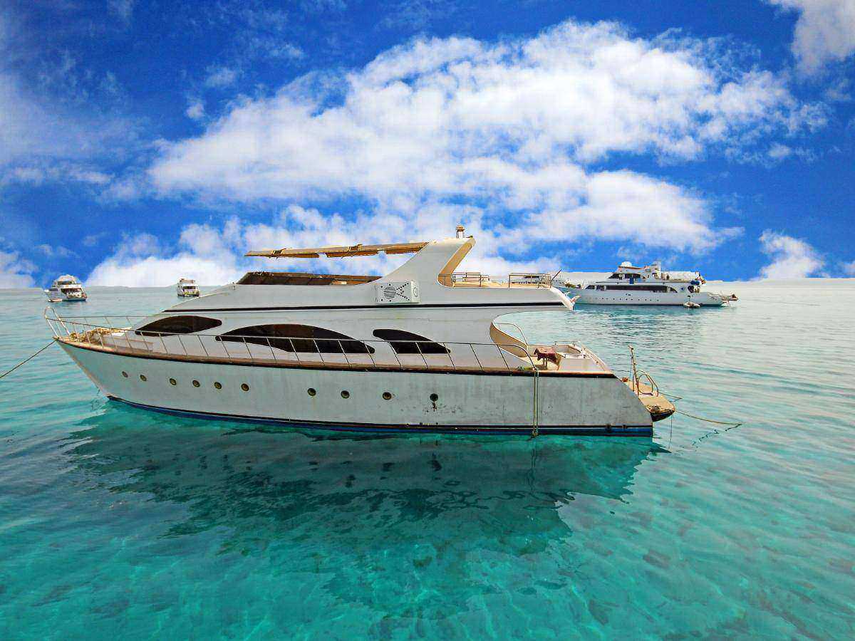 Sailing to Paradise - Paradise Island Snorkeling